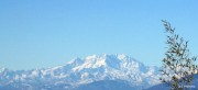 Monte Rosa 1 * Monte Rosa * 800 x 367 * (45KB)